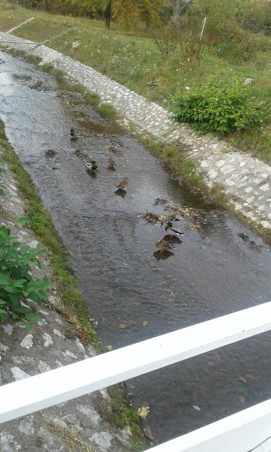 Riverside Apartman**** מישקולץ מראה חיצוני תמונה