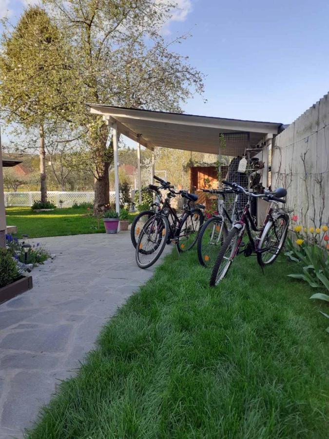 Riverside Apartman**** מישקולץ מראה חיצוני תמונה
