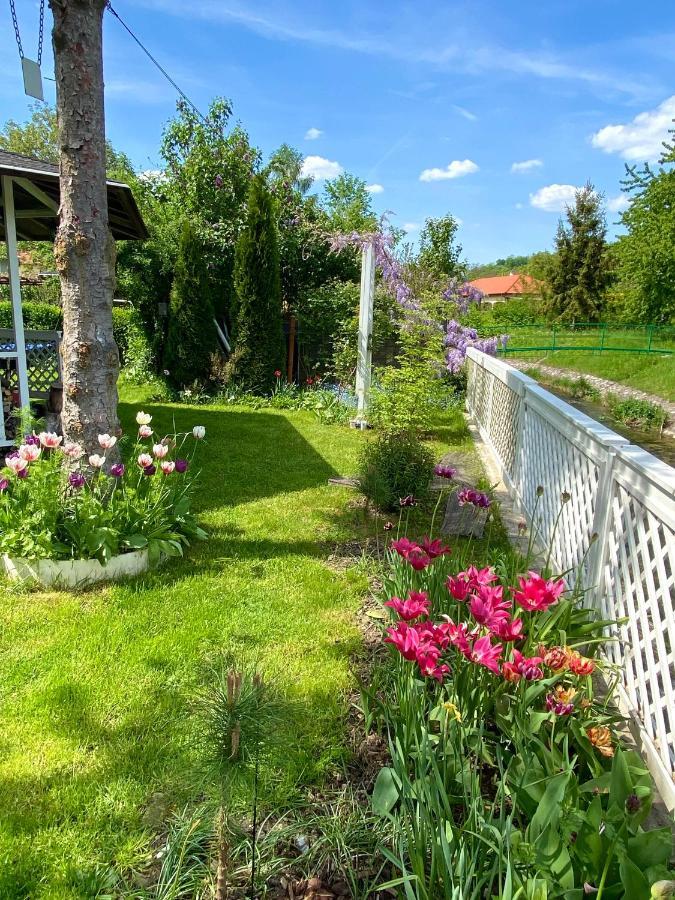 Riverside Apartman**** מישקולץ מראה חיצוני תמונה