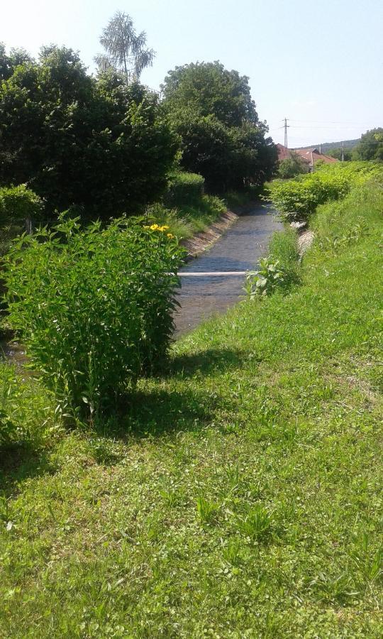 Riverside Apartman**** מישקולץ מראה חיצוני תמונה
