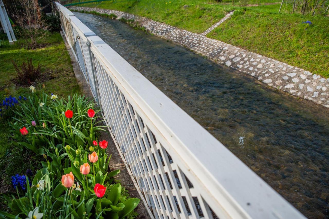 Riverside Apartman**** מישקולץ מראה חיצוני תמונה